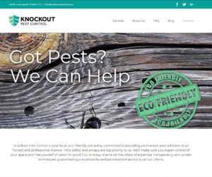 Knockout Pest Control's Homepage