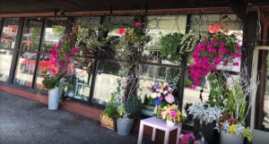 Gardenia Flowers' Store