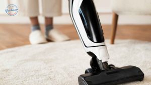 Best Carpet Cleaning in Vancouver
