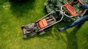 Best Landscapers in Vancouver