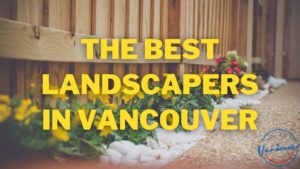 Best Landscapers in Vancouver