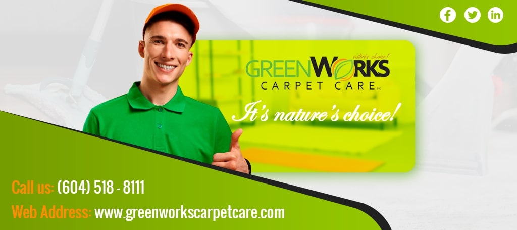 GreenWorks Carpet Care