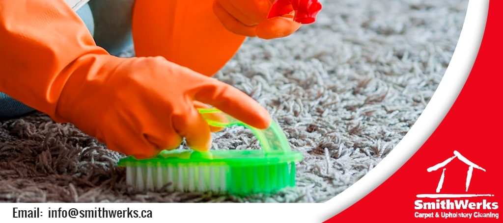 SmithWerks Carpet & Upholstery Cleaning