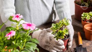 Best Gardens in Vancouver