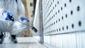 Best Bed Bugs in Vancouver