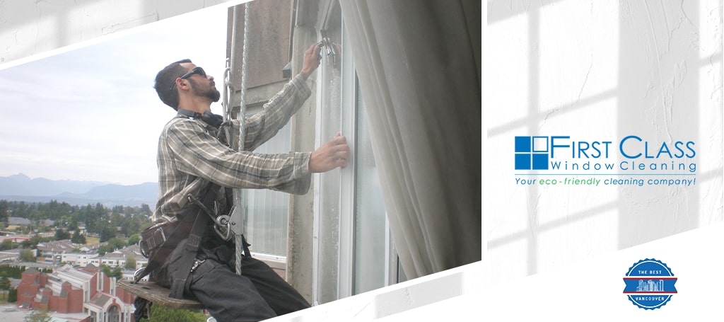 First Class Window Cleaning & Gutter Cleaning