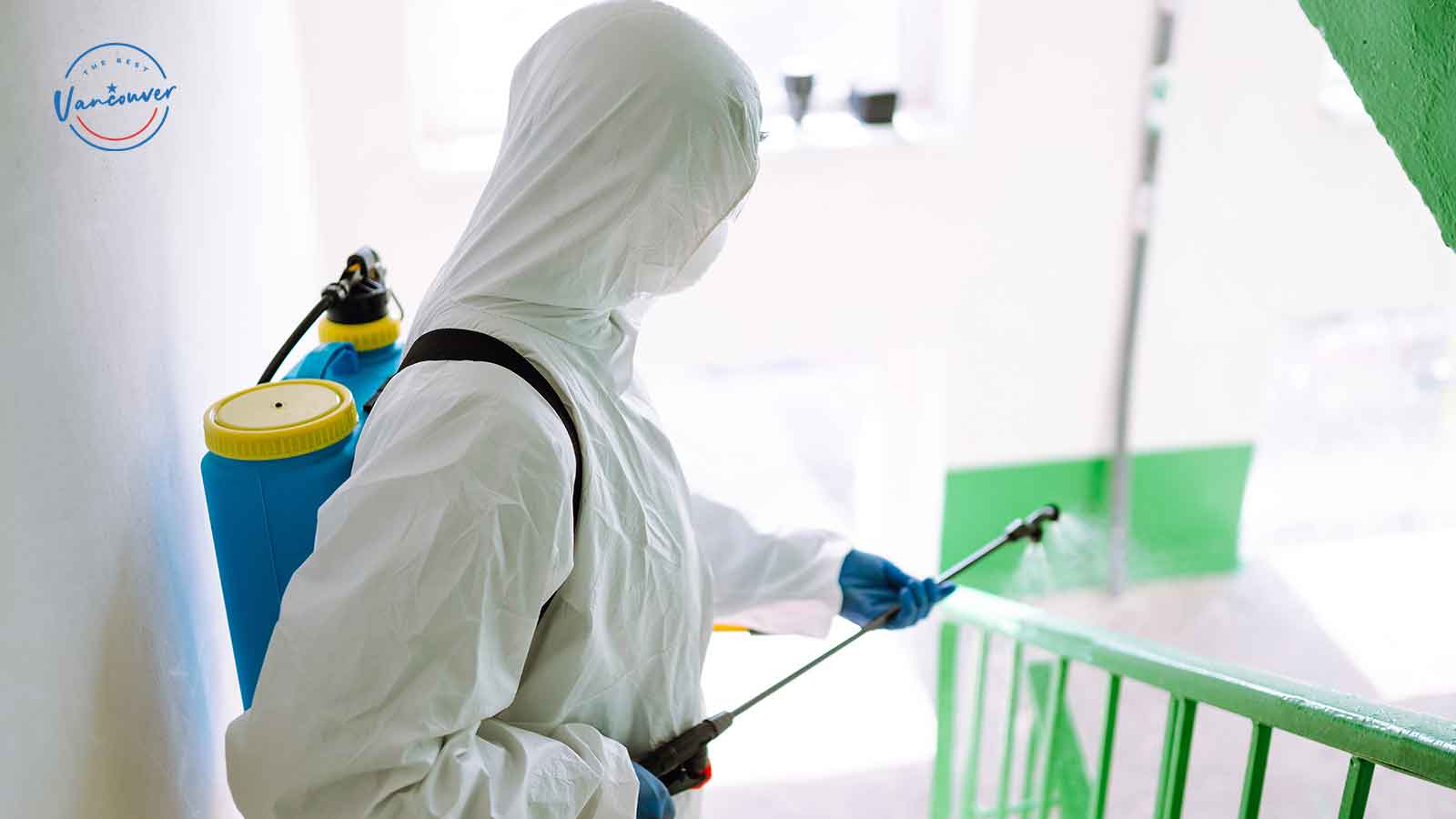Best Exterminators in Vancouver