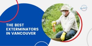 Best Exterminators in Vancouver