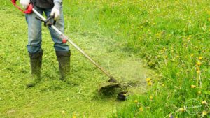 Best Lawn Care in Vancouver