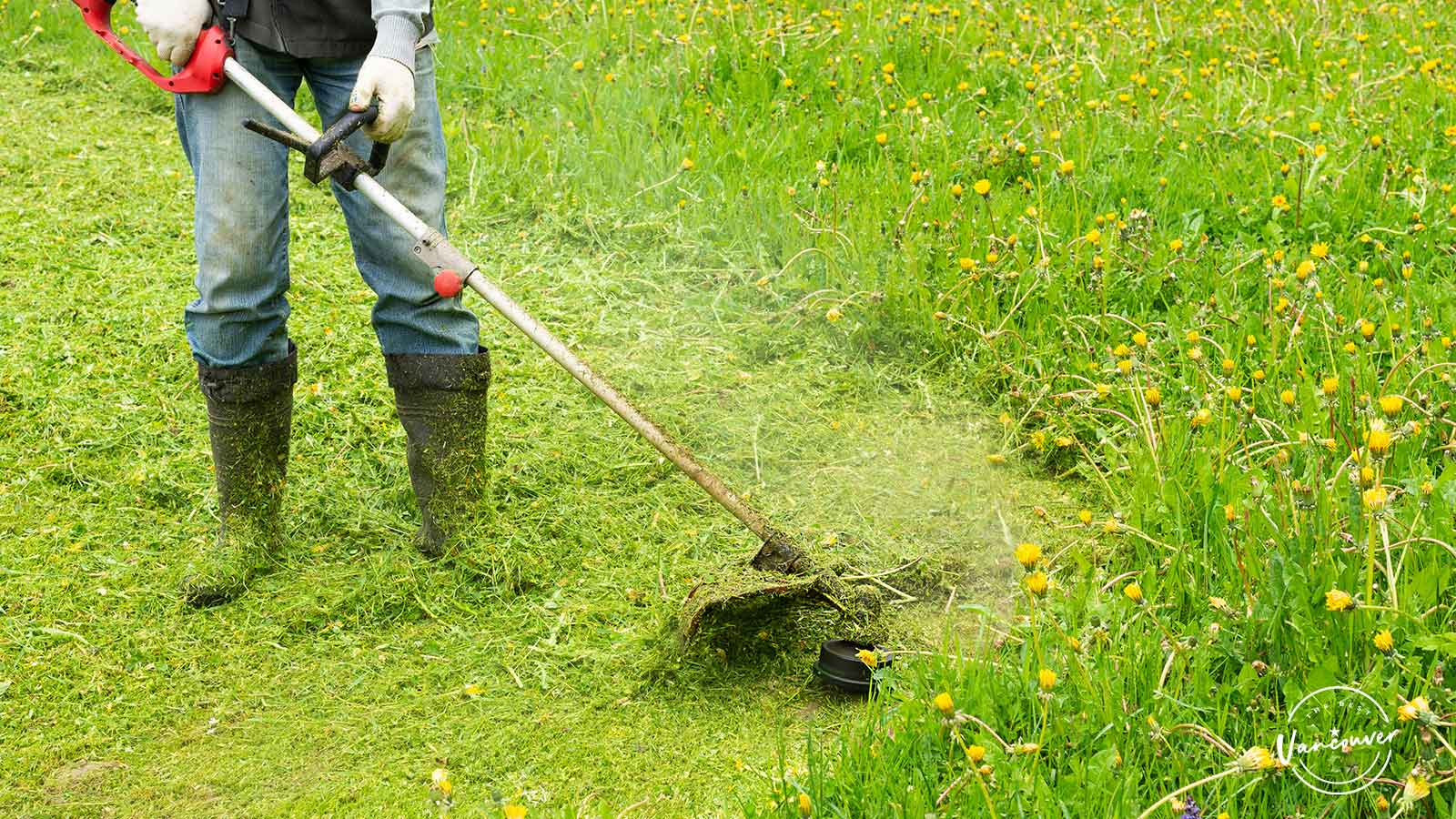 Lawn Care Services Amherstburg