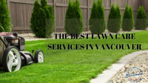 Best Lawn Care in Vancouver