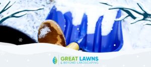 Great Lawns & Beyond
