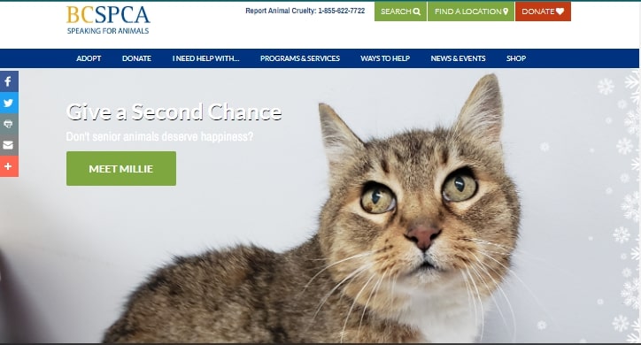 BC SPCA Vancouver Community Animal Centre's Homepage