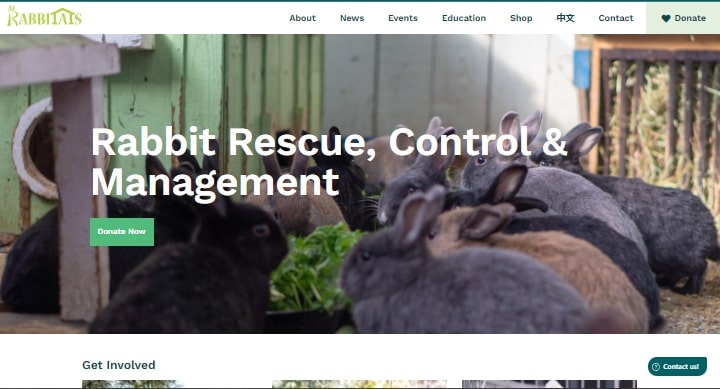 Rabbitats' Homepage