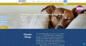 Jet Pet Resort's Homepage