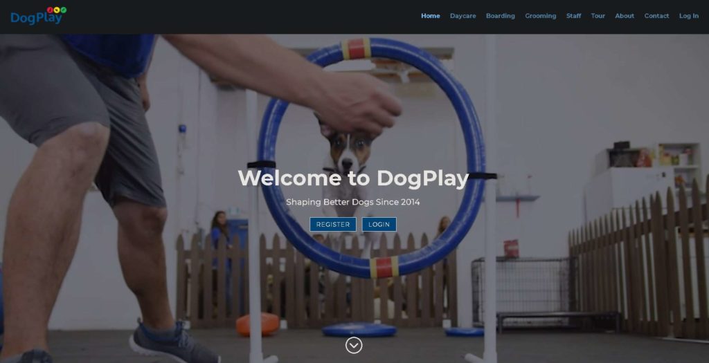DogPlay's Homepage