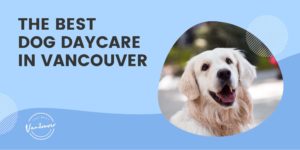 The Best Dog Daycare in Vancouver