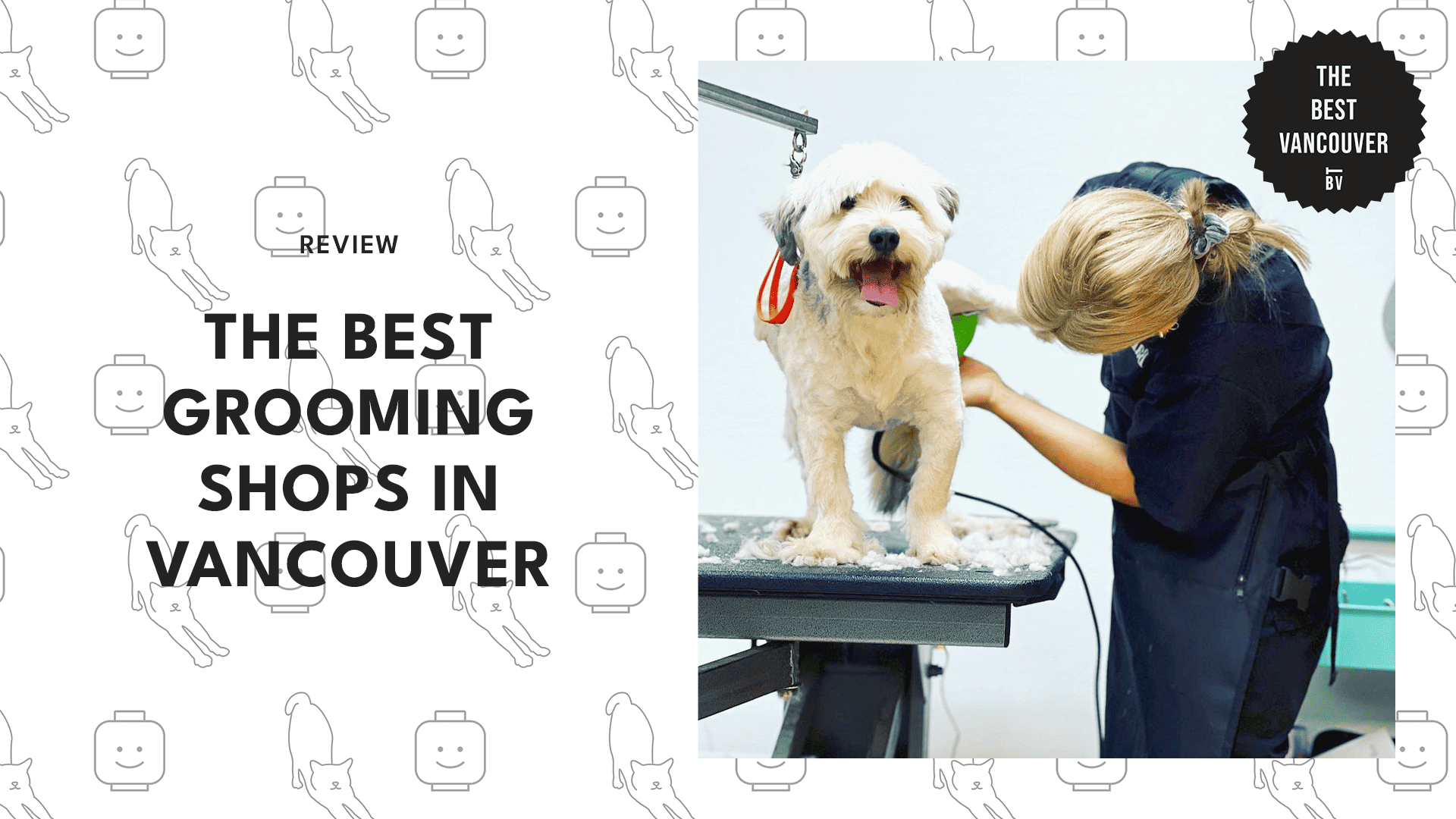 THE 10 BEST DOG GROOMING SHOPS IN VANCOUVER