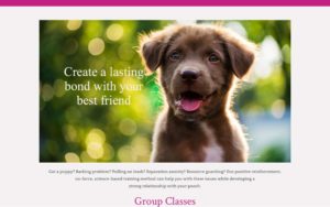 Bow Wow Academy