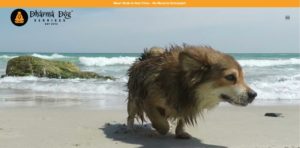 Dharma Dog Services