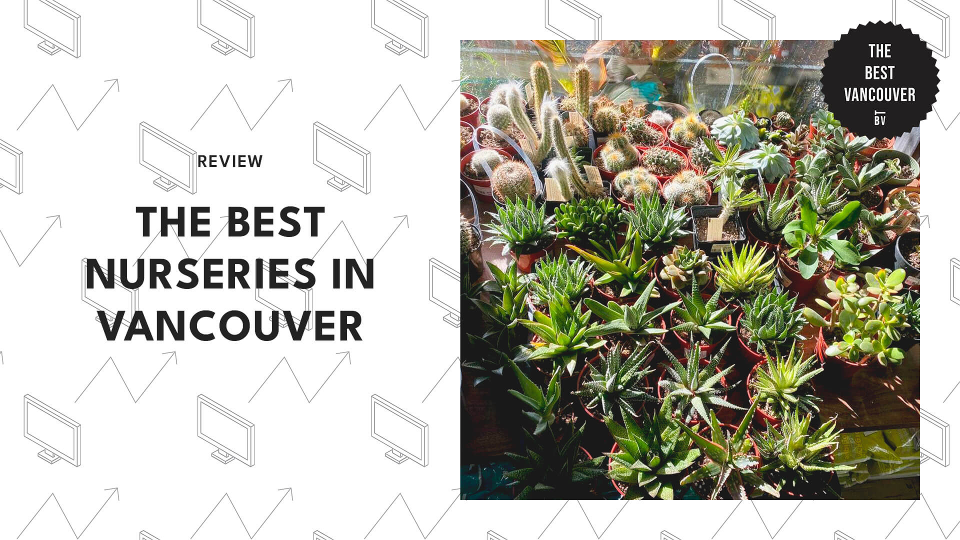 Best Nurseries