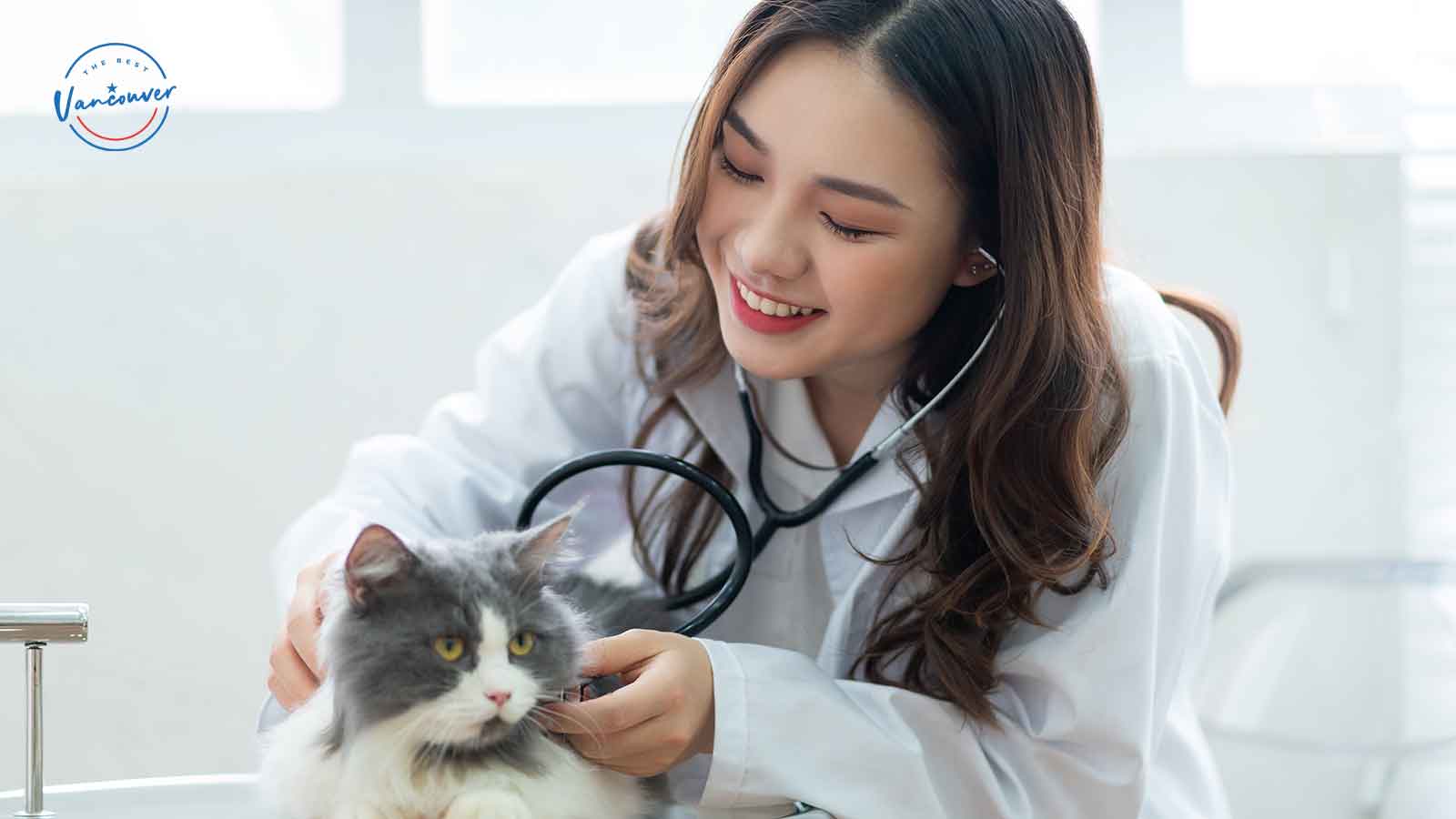 Best Veterinarians in Vancouver