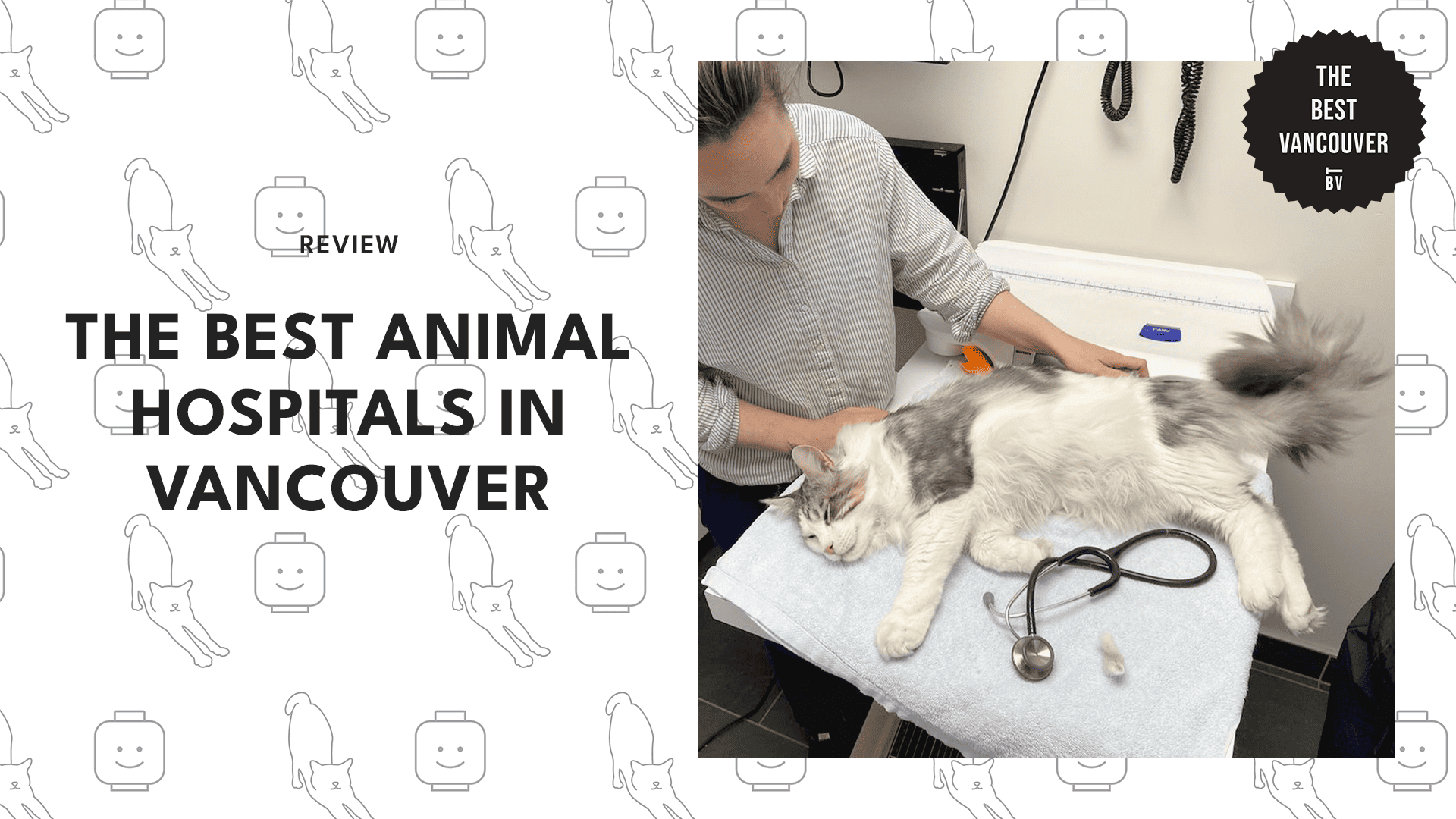 The 5 Best Animal Hospitals in Vancouver