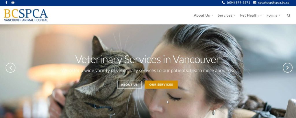 BC SPCA Vancouver Animal Hospital
