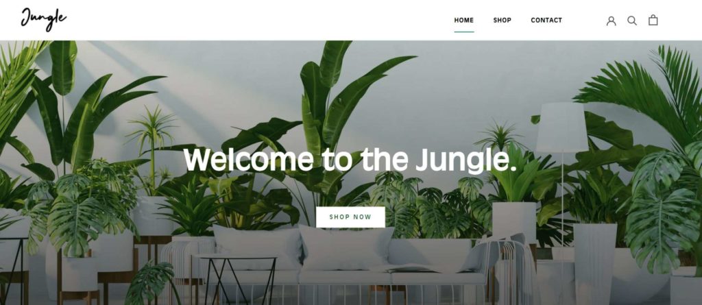 The Jungle
