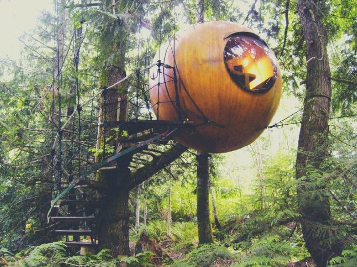 Eryn Sphere