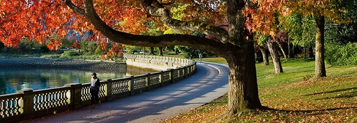 Parks Aplenty
