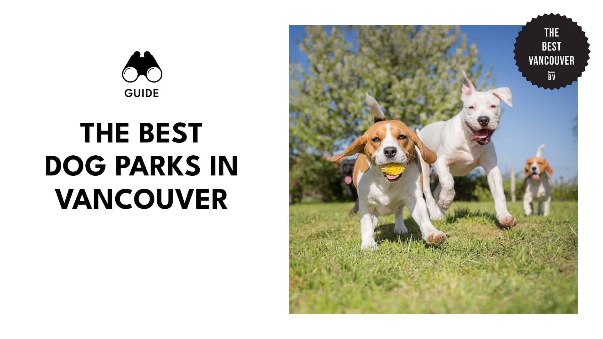 BEST DOG PARKS IN VANCOUVER