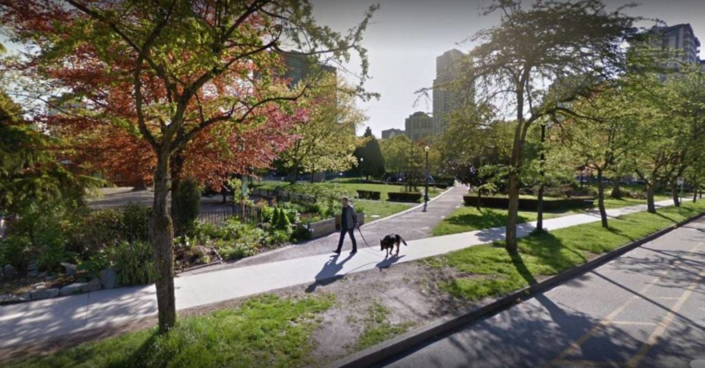 Nelson Dog Park