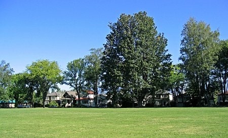 Pandora Park