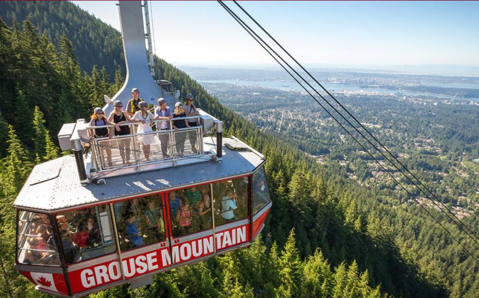 Skyride Surf Adventure