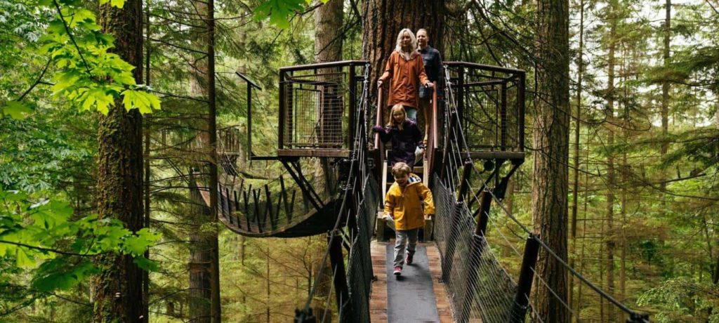 Treetops Adventure