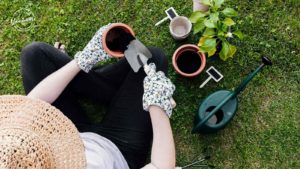 Vancouver Planting Guide