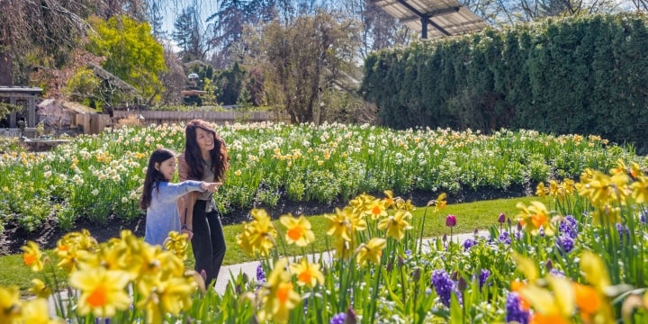 Vandusen Botanical Garden