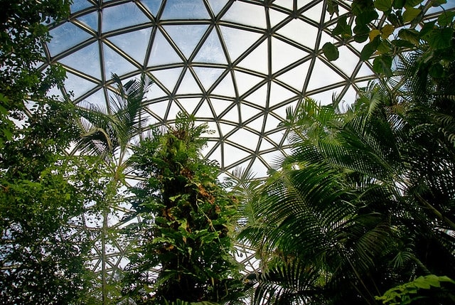 Bloedel Conservatory