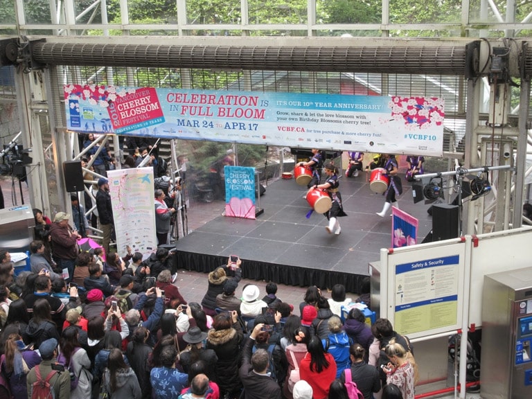Cherry Jam Concert