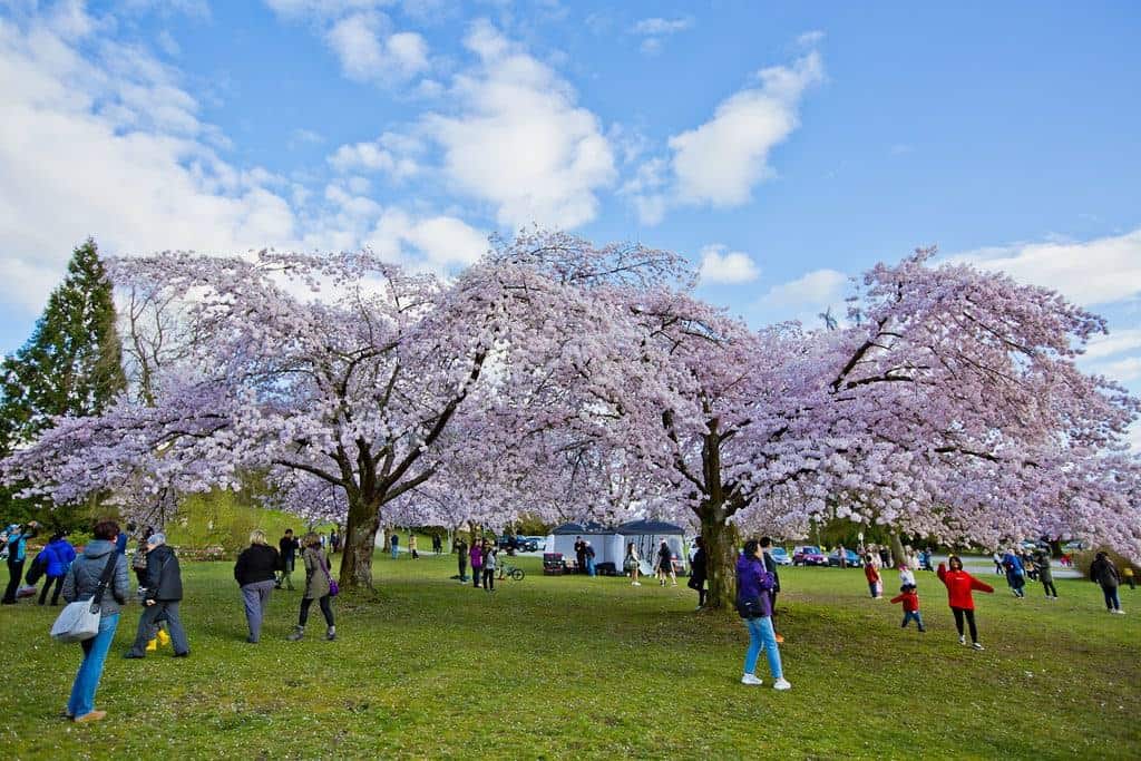 Queen Elizabeth Park