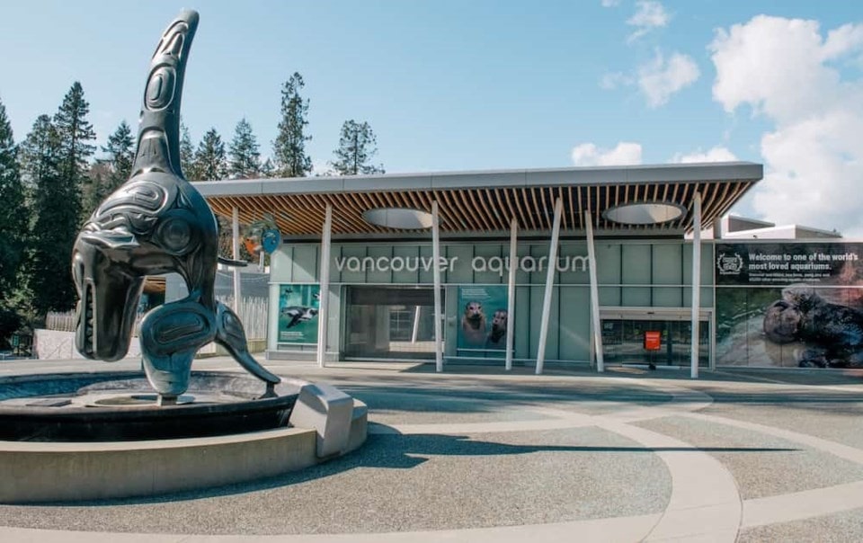 See Many Types of Aquatic Life at the Vancouver Aquarium