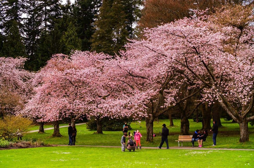 Stanley Park