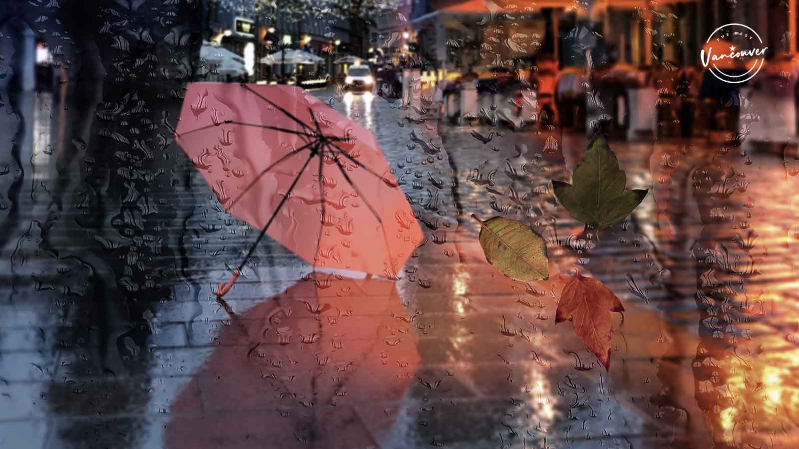 Things to Do in Vancouver When It Rains