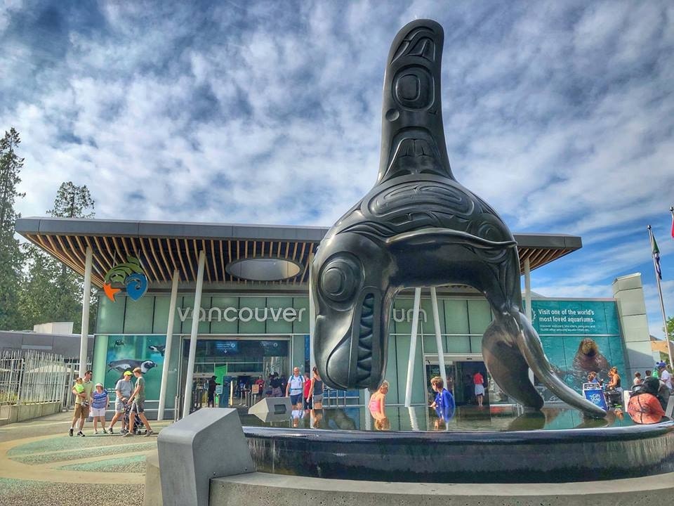Visit the Vancouver Aquarium