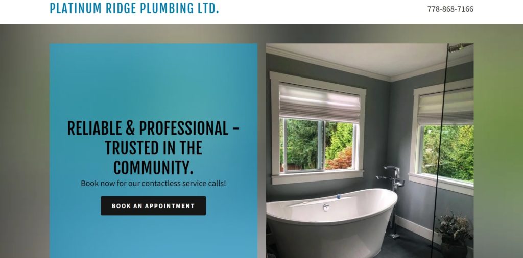Platinum Ridge Plumbing Ltd.'s Homepage