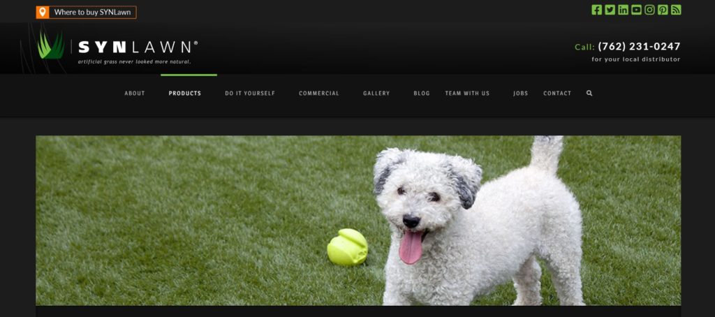 SYNLawn's Homepage