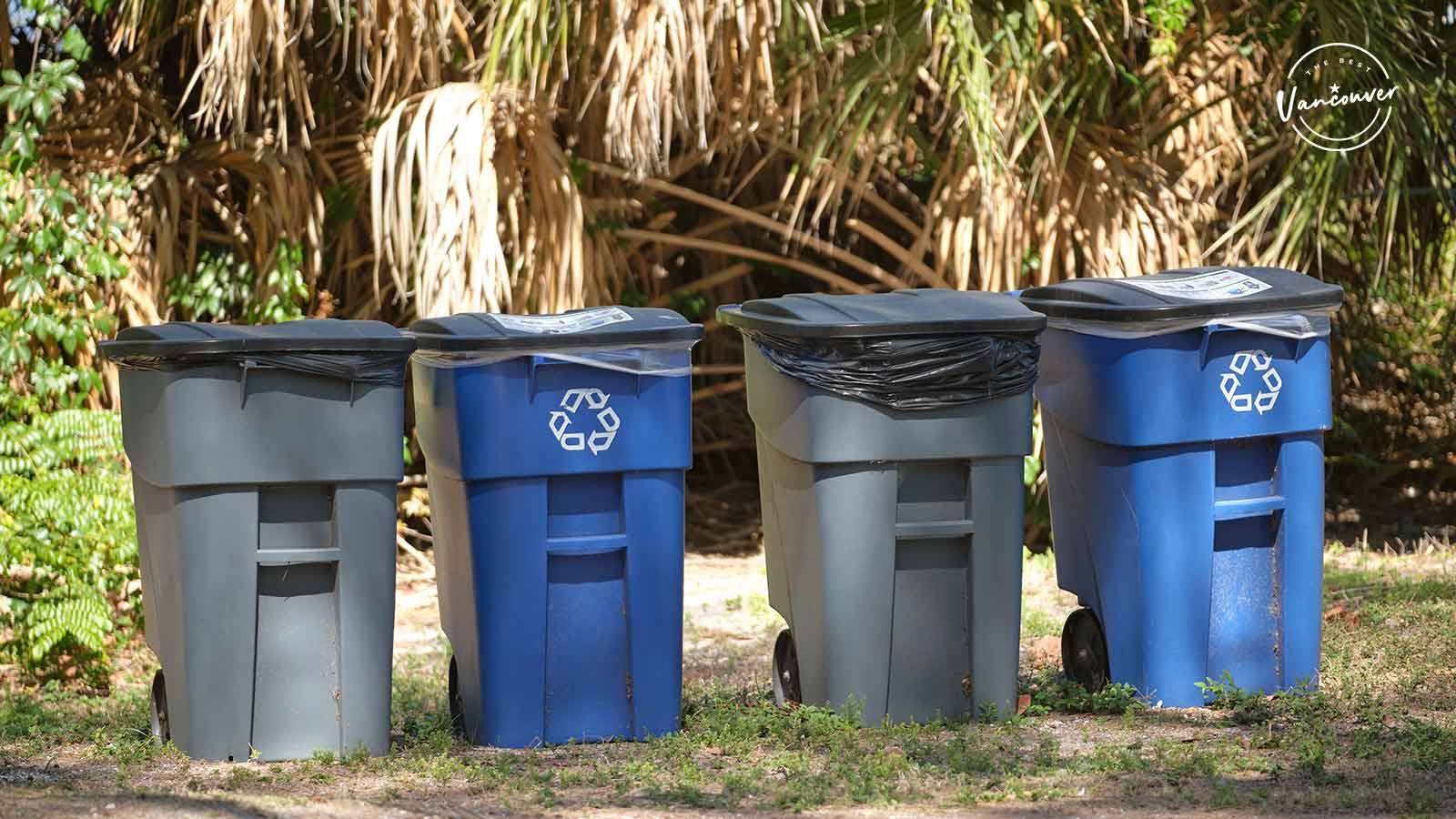 Best Waste Disposal Services in Vancouver