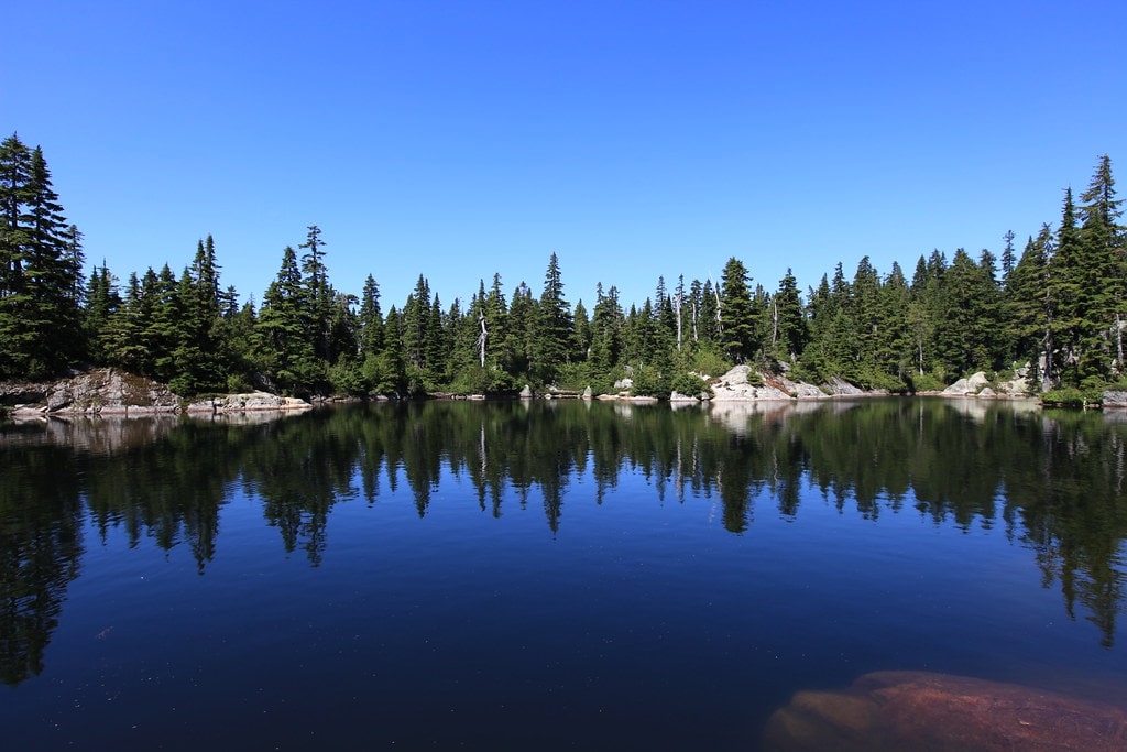 Cabin Lake