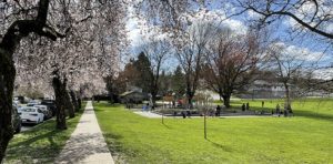Collingwood Park